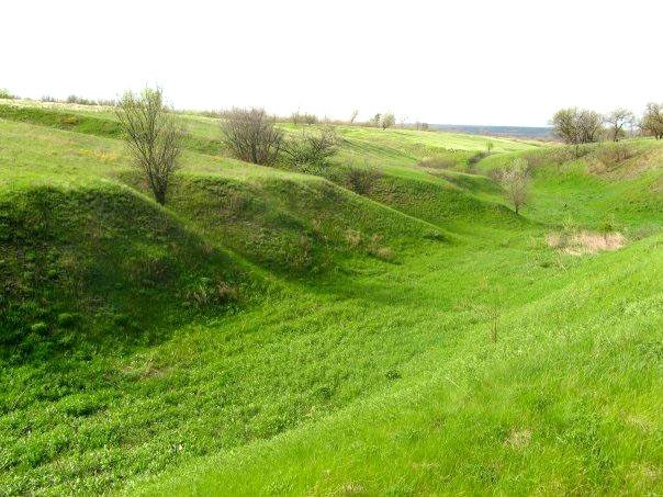 Яр на околиці села